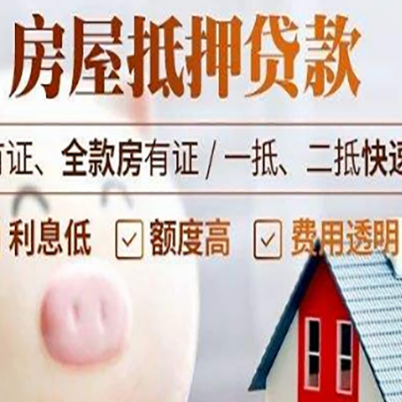 嘉善贷款助贷公司新渝启服成立时间久